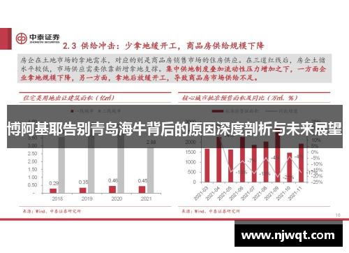 博阿基耶告别青岛海牛背后的原因深度剖析与未来展望