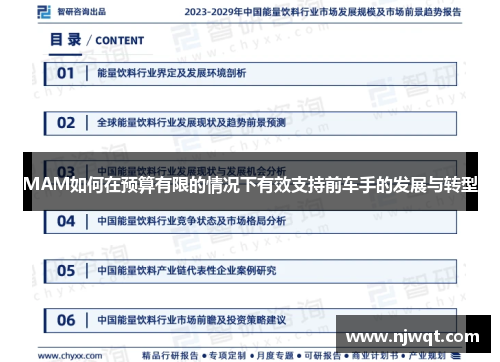 MAM如何在预算有限的情况下有效支持前车手的发展与转型