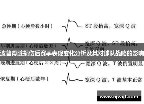 波普肾脏损伤后赛季表现变化分析及其对球队战略的影响