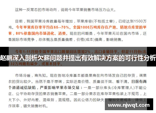 赵鹏深入剖析欠薪问题并提出有效解决方案的可行性分析