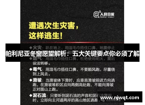 帕利尼亚冬窗愿望解析:五大关键要点你必须了解 帕利尼亚冬窗愿望解析:五大关键要点你必须了解